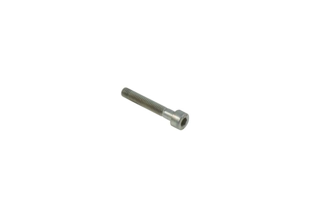 Throttle stop bolt 5x30 mm