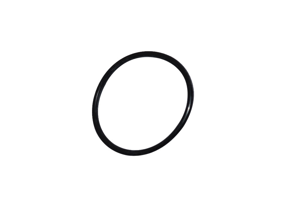 Water Pump O'ring