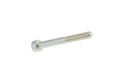 Cap Head screw 6 x 55