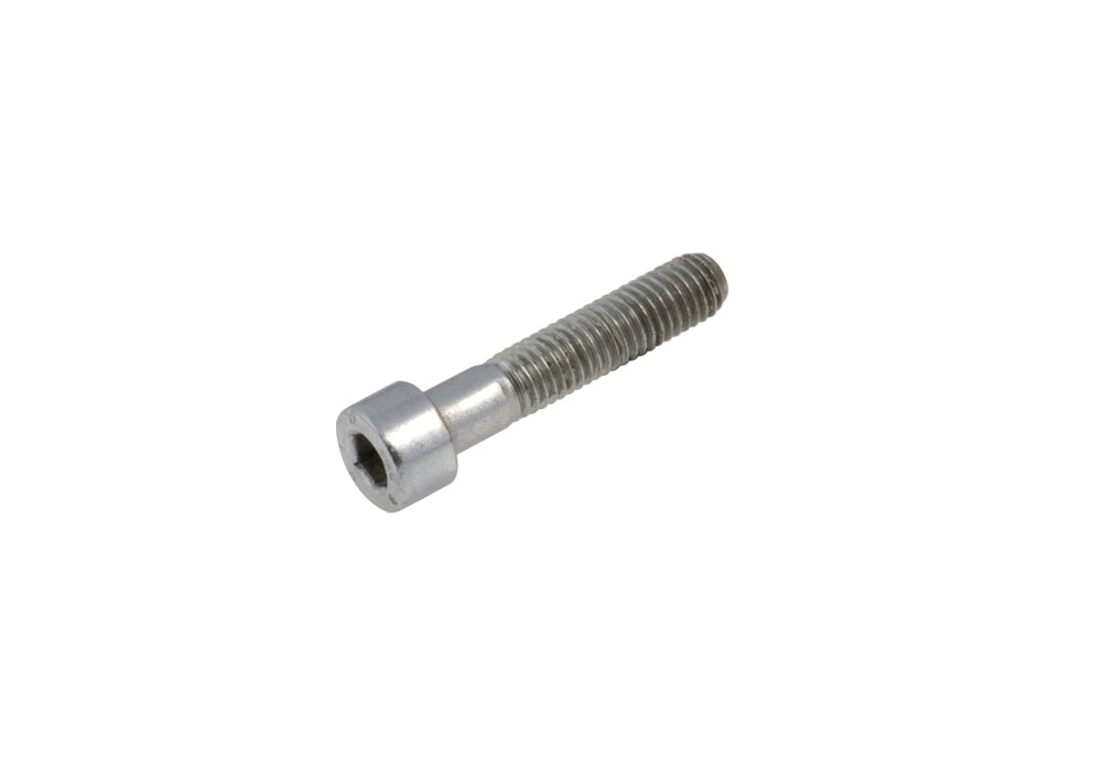 Cap Head screw 8x45 mm